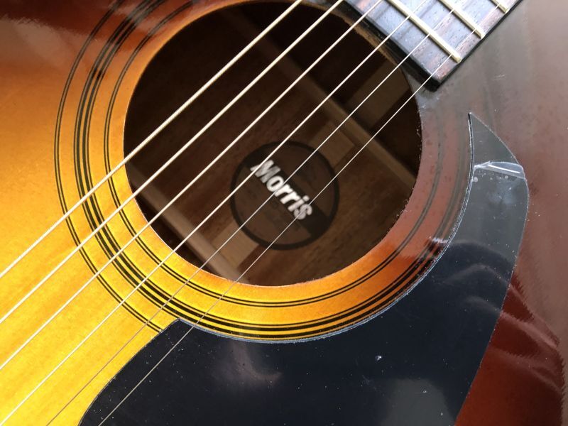 Morris / MD-502 TS 美品！ - HR/HMギター専門店 FUTURE WORLD