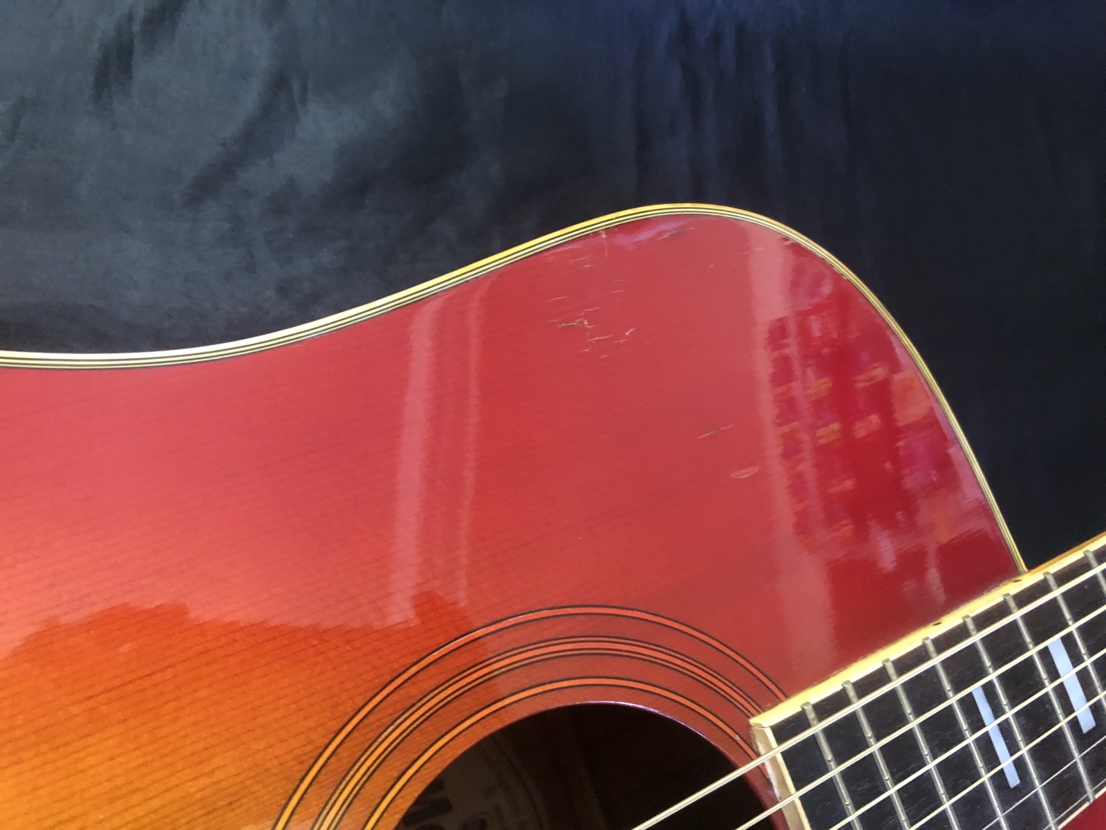 Morris / WH-25 ハミングバード 日本製 - HR/HMギター専門店 FUTURE WORLD