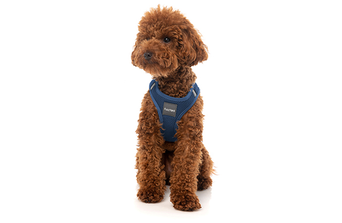 ステップインハーネス マリン | FuzzYard（ファズヤード）公式通販