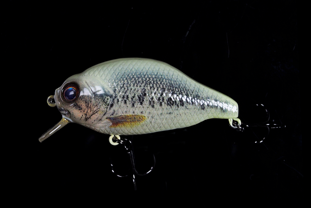 GAN CRAFT | 2025 z-bite-bass