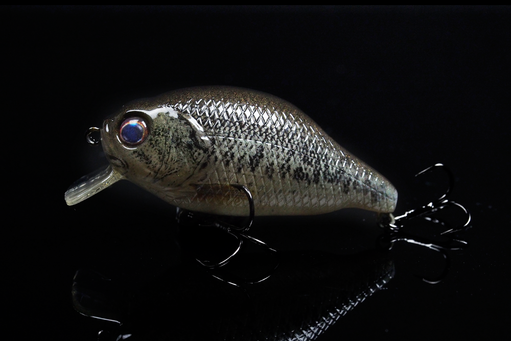 GAN CRAFT | 2025 z-bite-bass