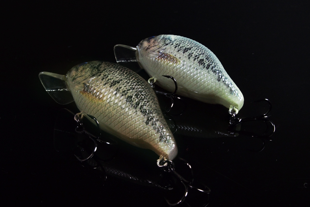 GAN CRAFT | 2025 z-bite-bass