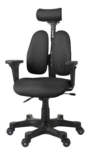 オフィスチェア パソコンチェア DUOREST/デュオレスト DR-7501 高機能