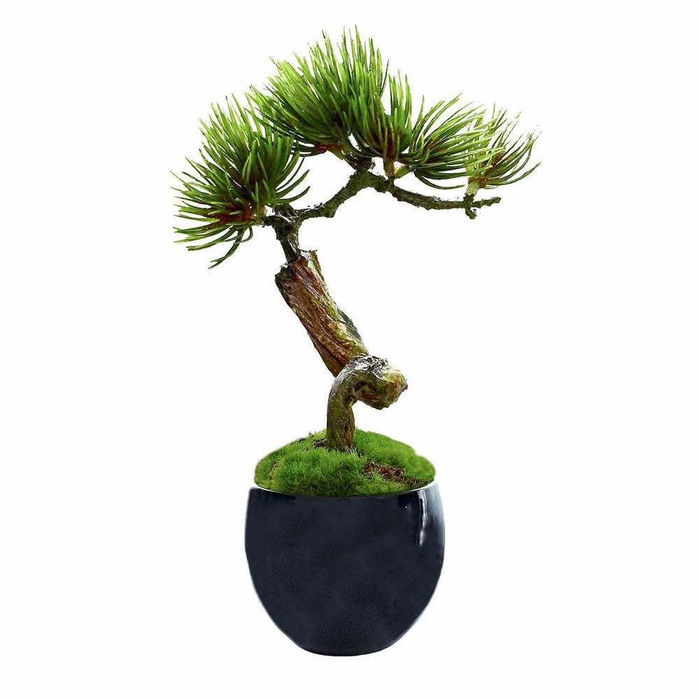 松・吹き流しS 小鉢 藍 （フェイクグリーン） の通販 | オフィス