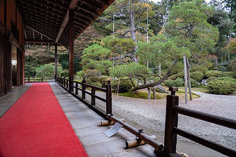 詩仙堂 サツキの刈込みで中国の山並みに見立てた枯山水 -庭園ガイド