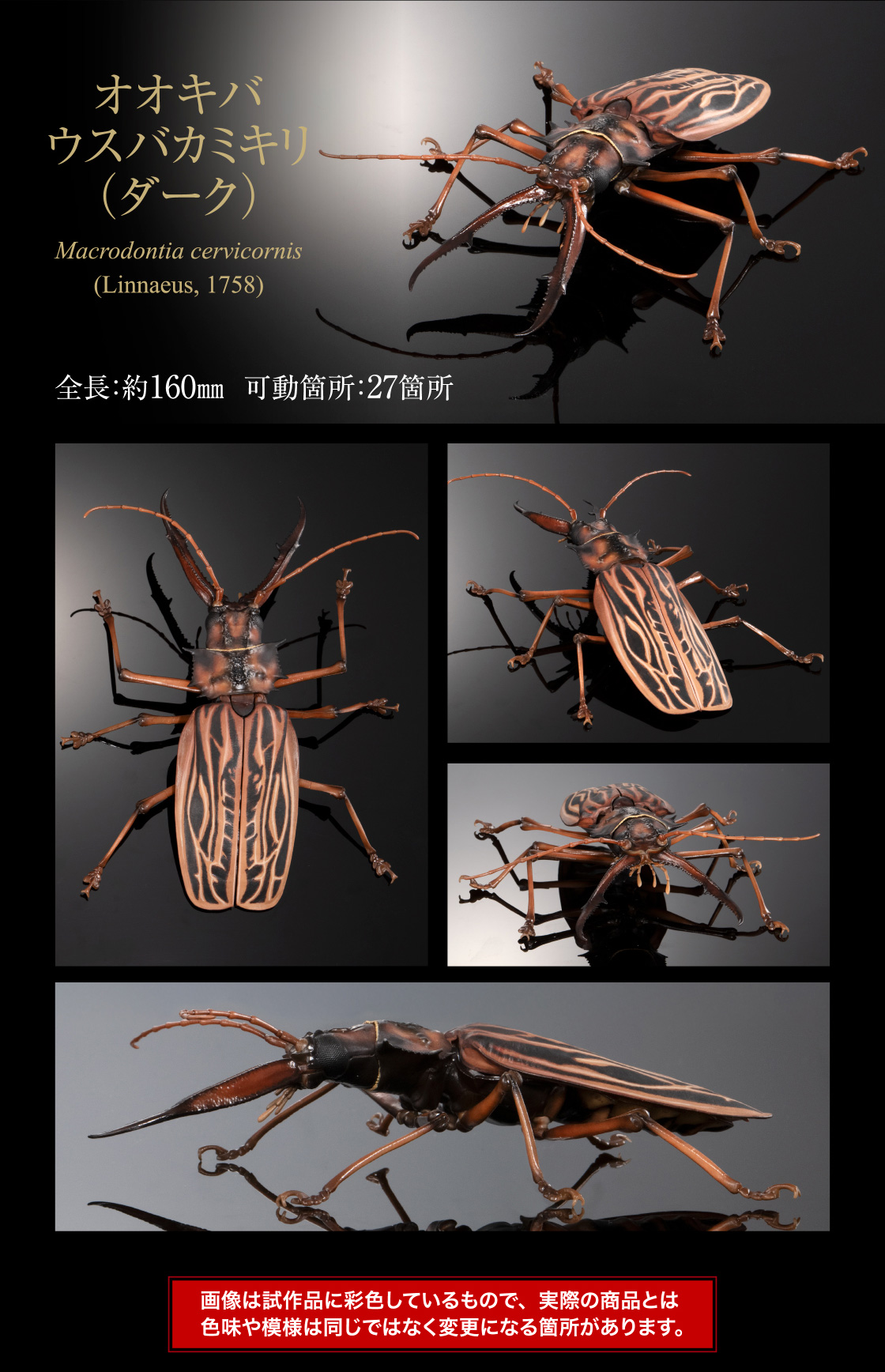 いきもの大図鑑アドバンス オオキバウスバカミキリとハンミョウ