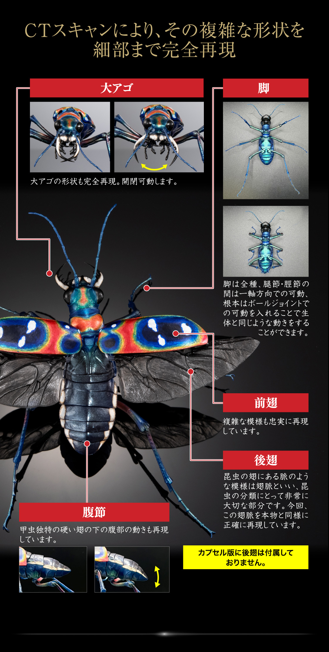 いきもの大図鑑アドバンス オオキバウスバカミキリとハンミョウ