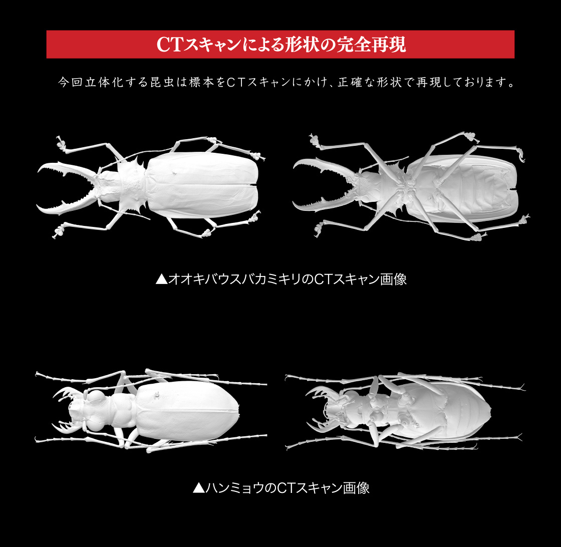 いきもの大図鑑アドバンス オオキバウスバカミキリとハンミョウ