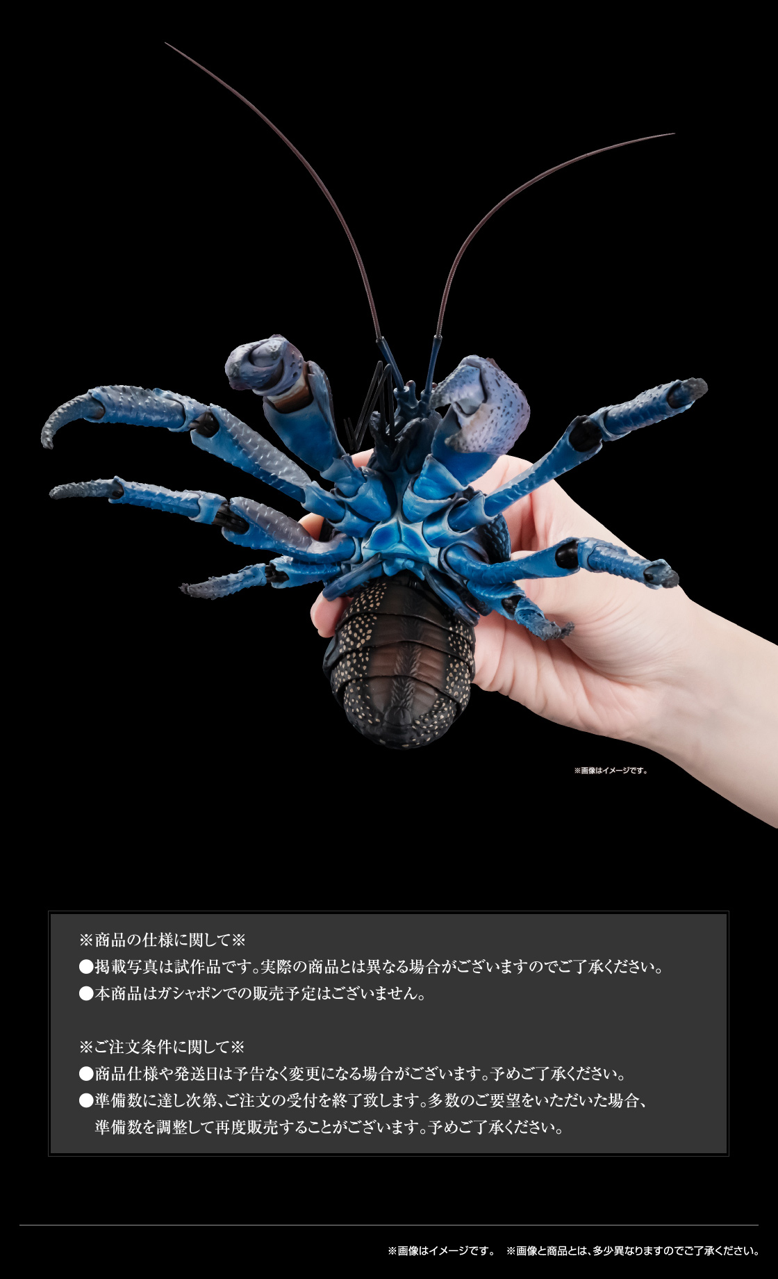 いきもの大図鑑プレミアム ヤシガニ｜いきもの大図鑑｜ガシャポン