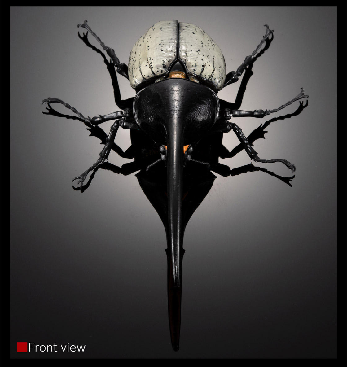 いきもの大図鑑プレミアム ヘラクレスオオカブト（ヘラクレス