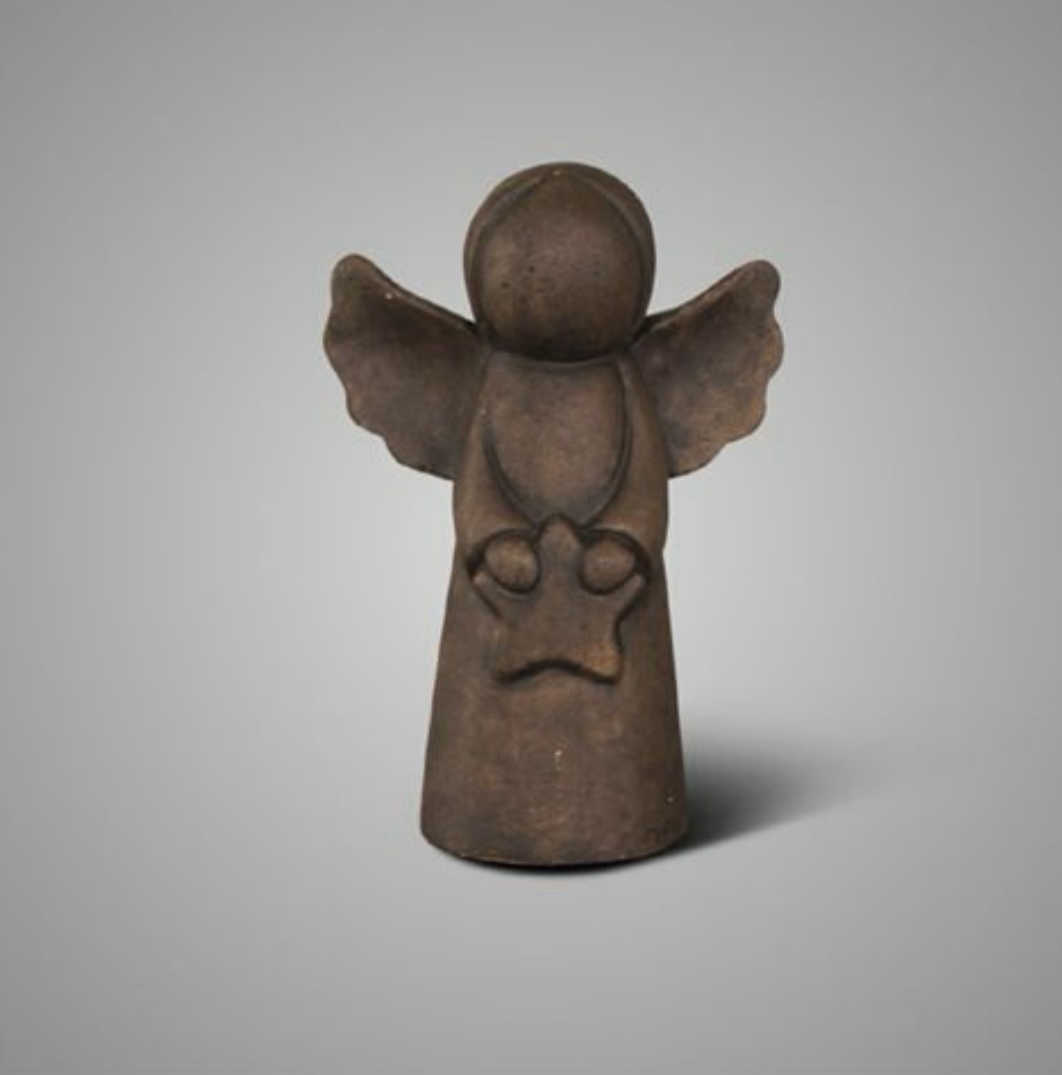 Brynxz Angel with star Majestic Brown L – Gewoonmo