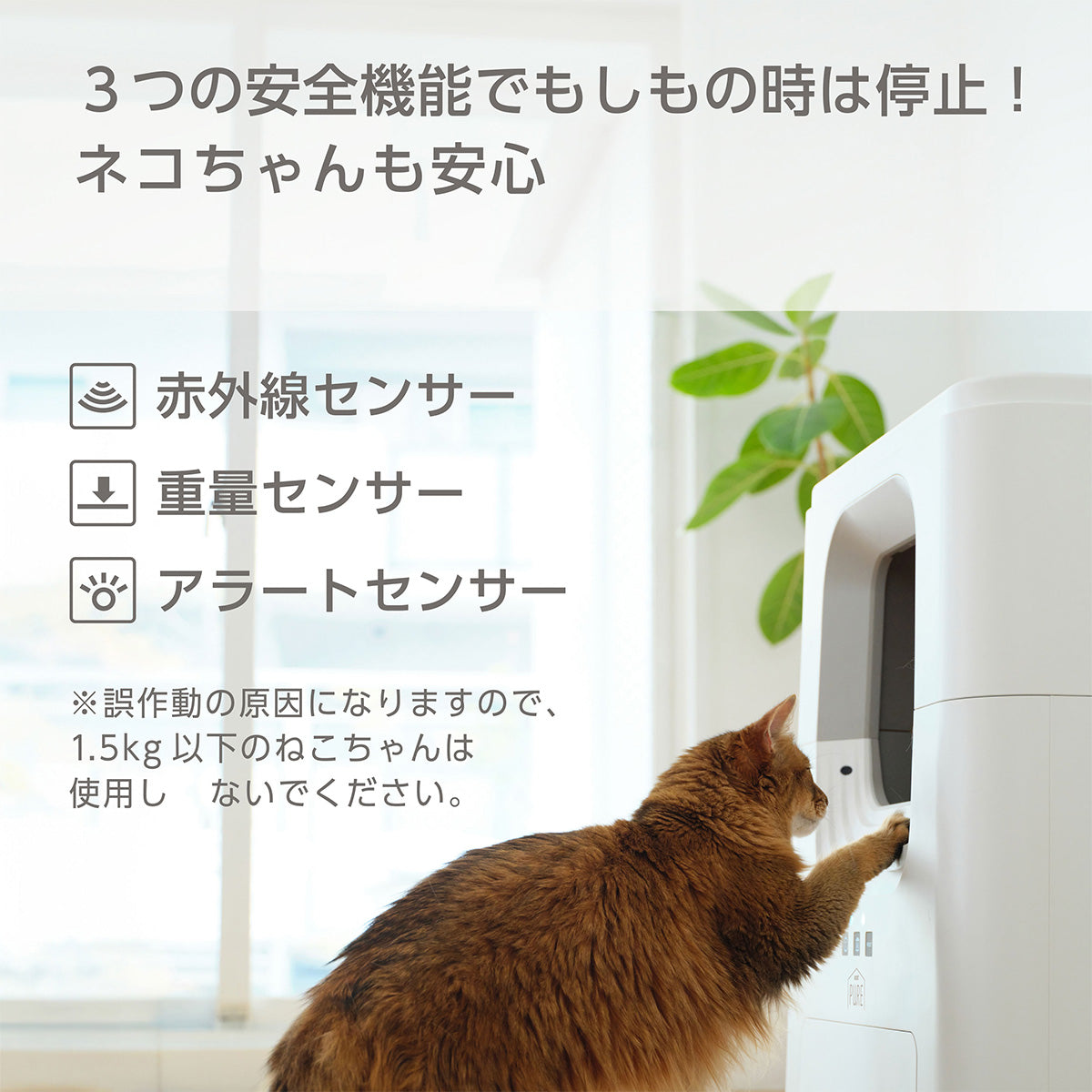 PURE CAT AUTO TOILET | PURE（ピュア）公式オンラインショップ