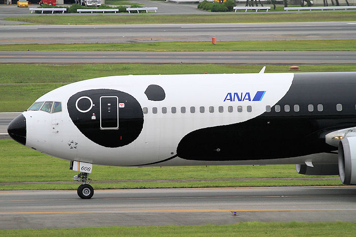 FRY! パンダ ANA（全日空） B767-300ER JA606A