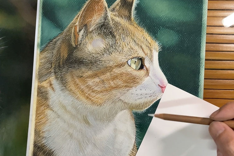 色鉛筆」で猫を描くの？いや○○の方が絶対最適！！ | パステル画の森