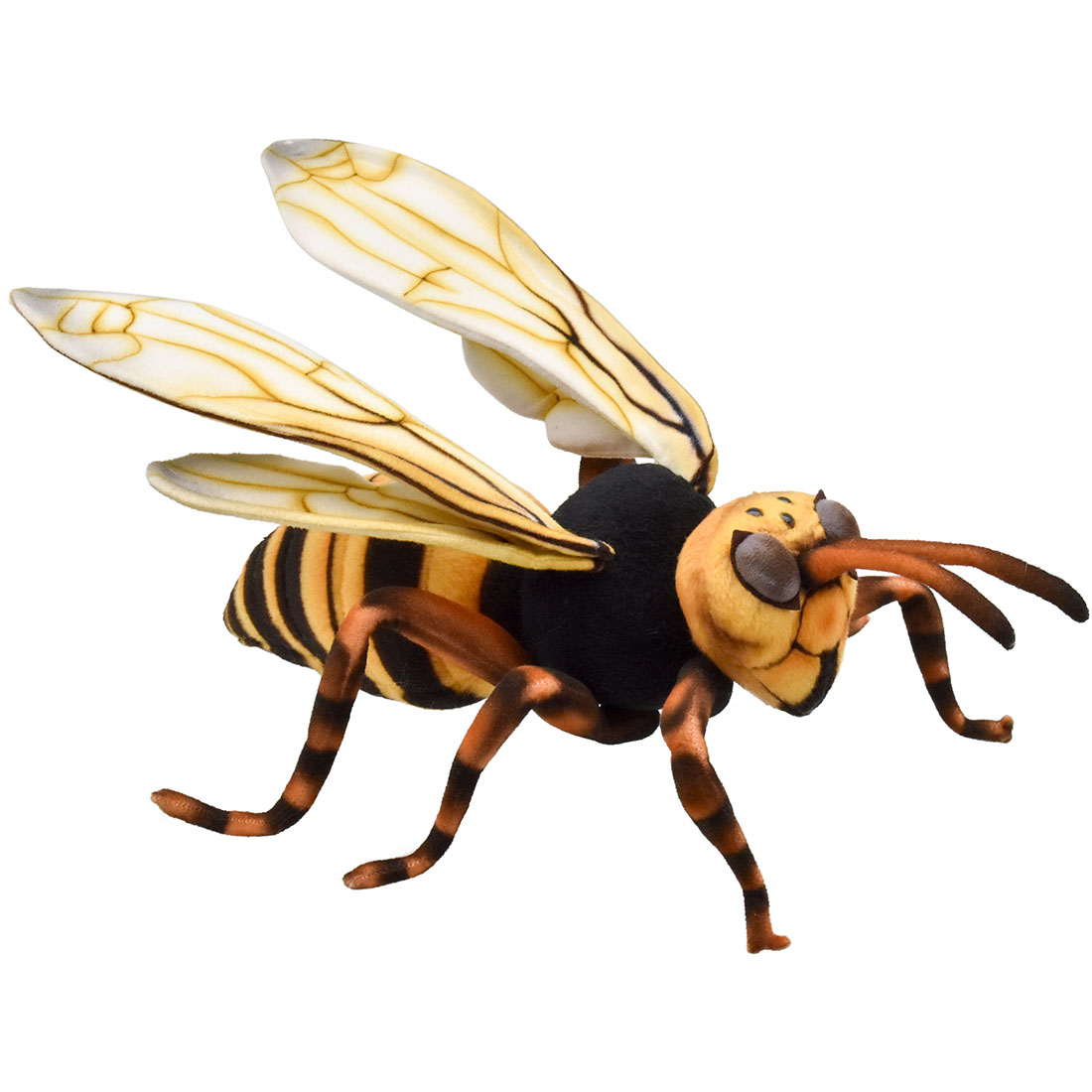 スズメバチ 35 | HANSA