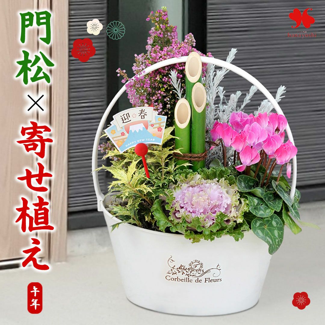 寄せ植え～ 夢匠花 冬色百彩 門松寄せ植え 12/26～12/30の間で指定OK