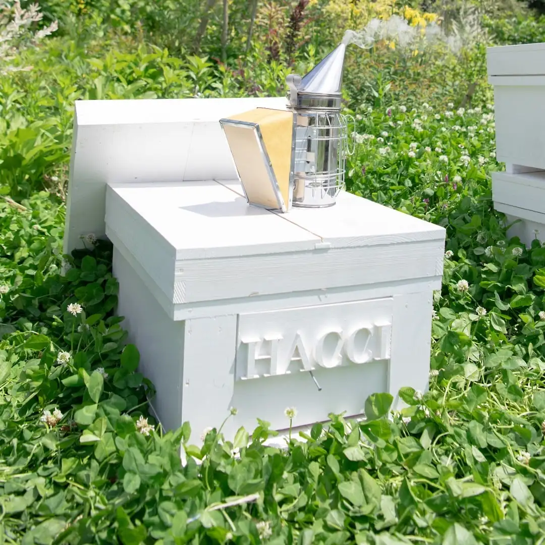 ミニダイヤモンドBOX テーブルハニー2本セット（アカシア＆オレンジ