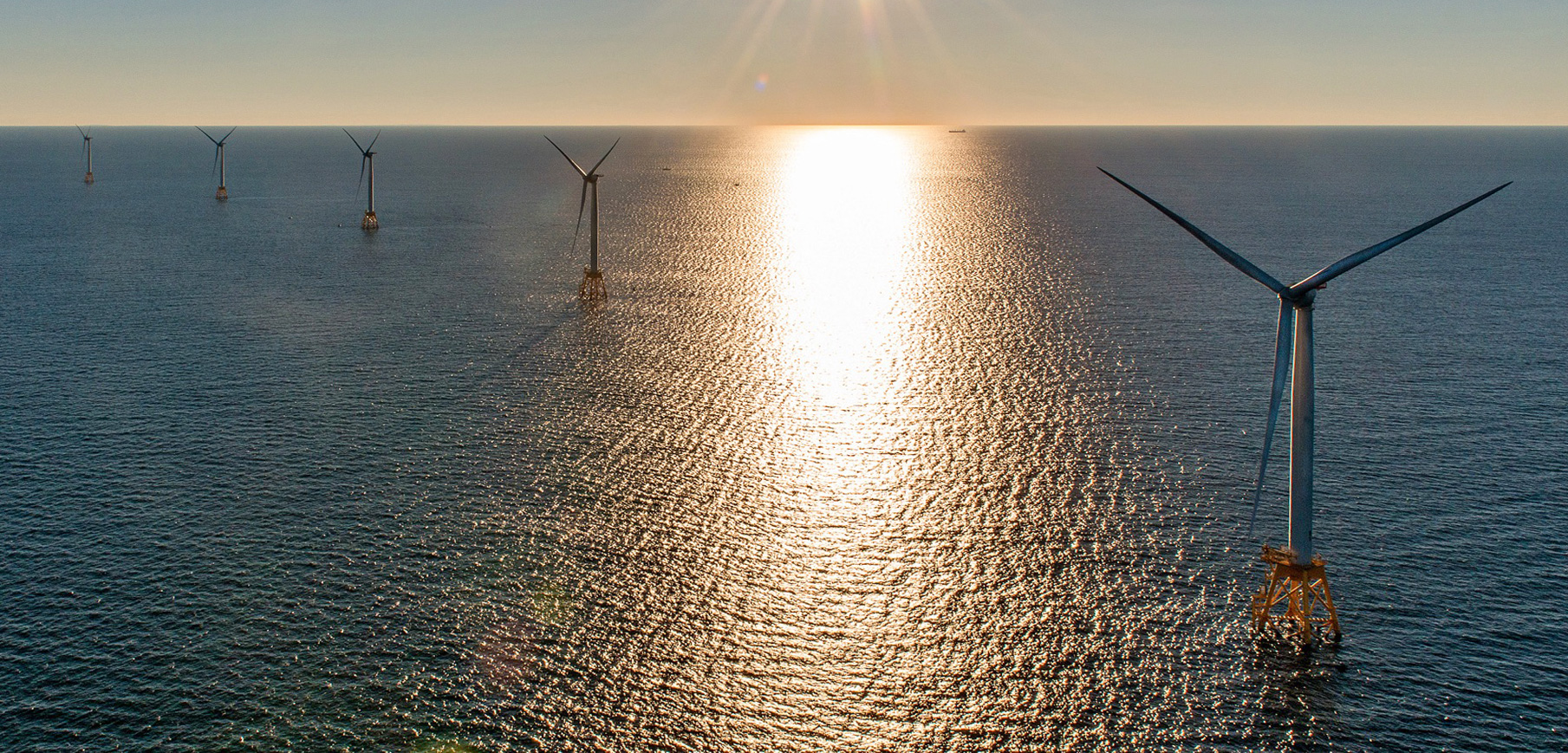As Offshore Wind Power Picks Up, Do Seabirds Need to Suffer