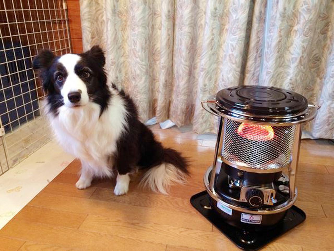 まとめ】冬キャンプの必需品！ ストーブのおすすめ15選 石油・薪・電気