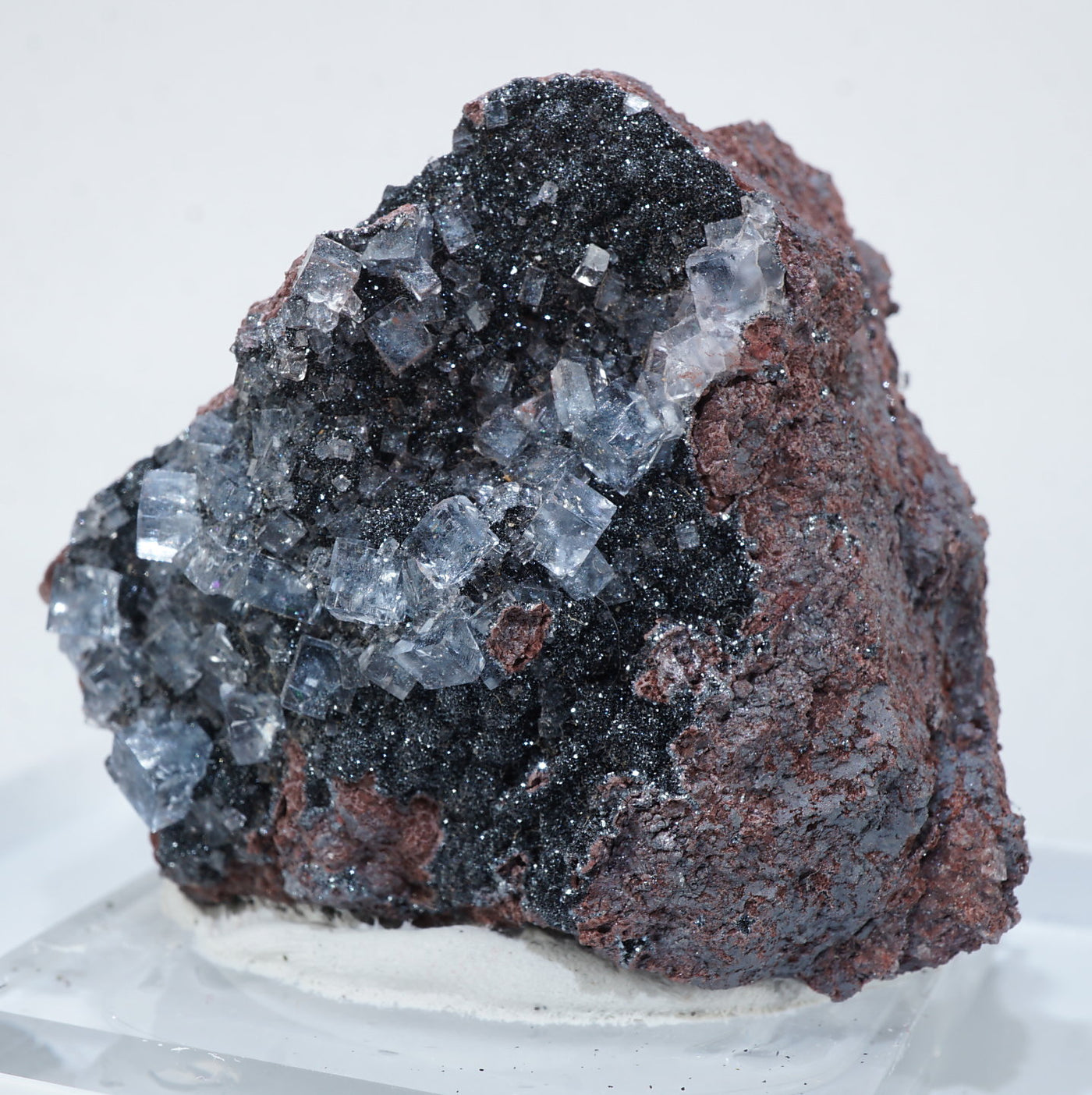 イギリス Florence(フローレンス)Mine産 フローライト on ヘマタイト