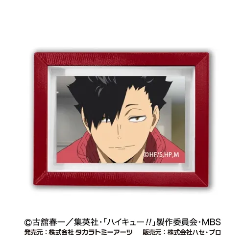 ハセ・プロ｜ハイキュー！！ アートフレームコレクション 音駒高校BOX