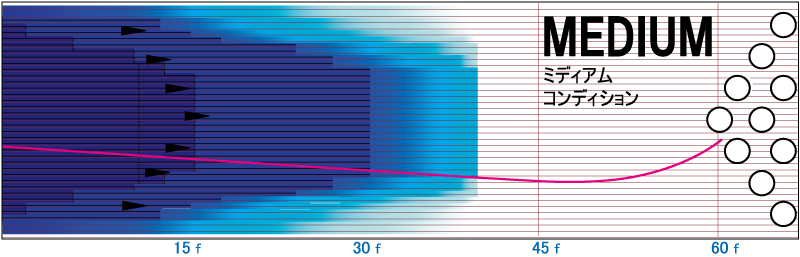 ジェム・ブラックダイヤモンド - ハイスポーツ社 ：信頼のボウリング
