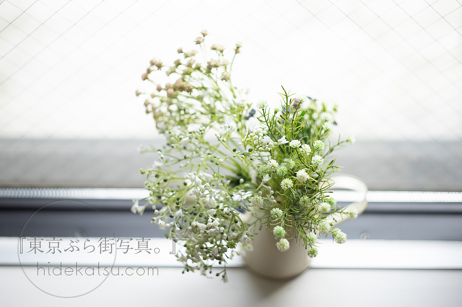 ぐるぐるボケと深いボケのロシアンレンズ Helios 44-2（ヘリオス）58mm