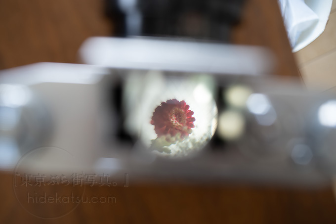 New フィルムカメラ！！ 厳選して購入した「Praktica KW」趣きと手間が