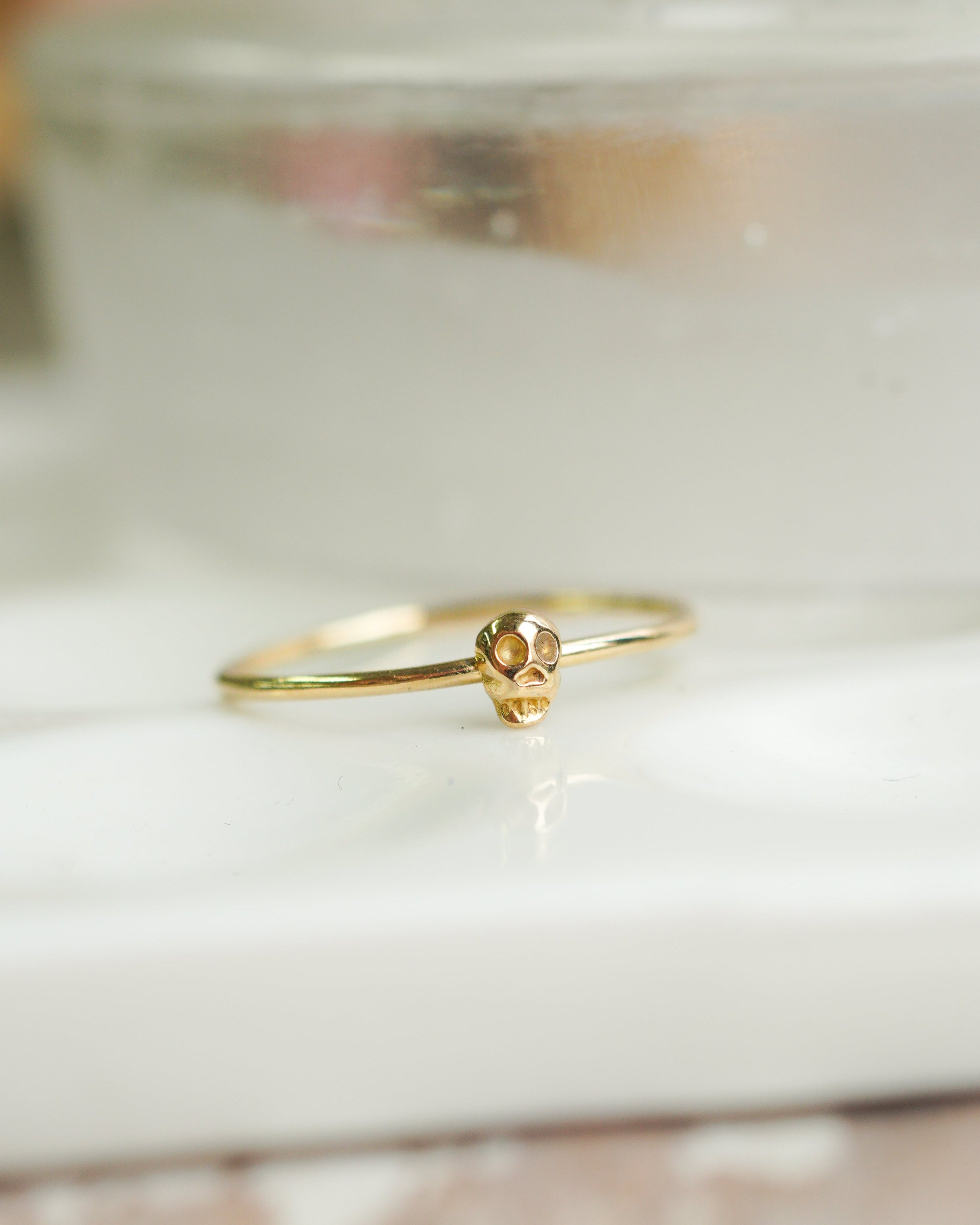 6FW – hirondelle et pépin(イロンデール エ ペパン)