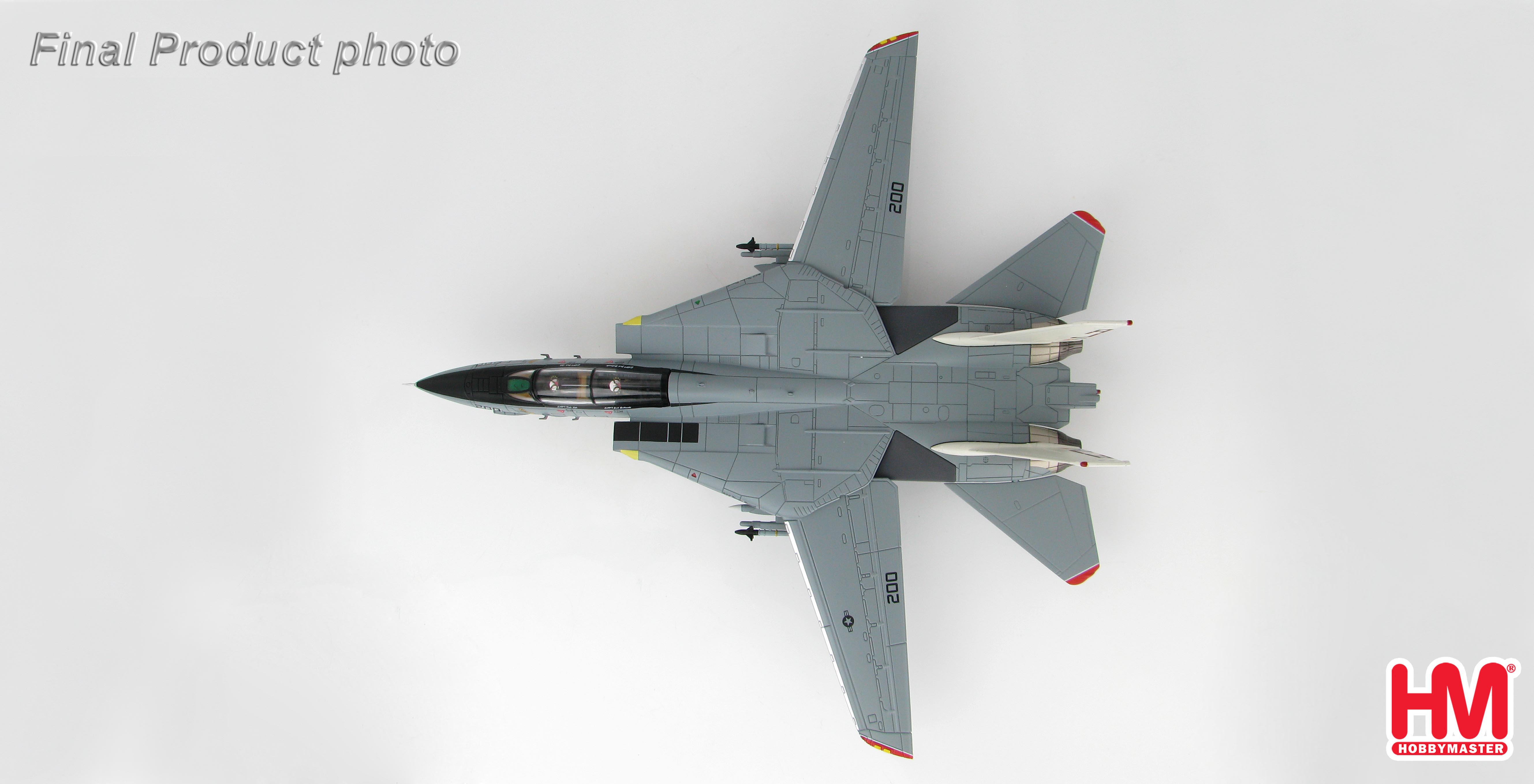 Grumman F-14A Tomcat 162698, VF-14 Tophatters, 80th Anniversary, 1999