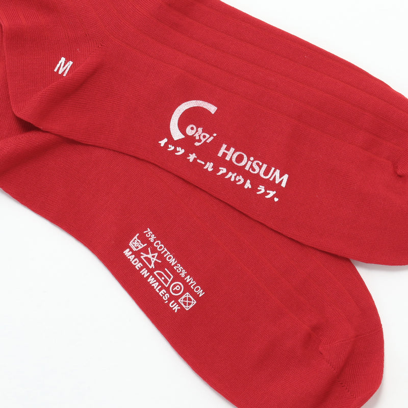 HOiSUM×Corgi High gauge socks – HOiSUM MART