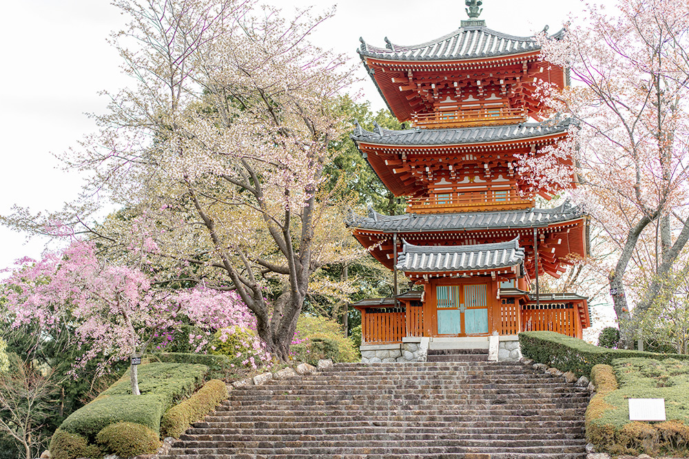 境内案内｜方広寺～ほうこうじ～｜浜松市浜名区引佐町奥山