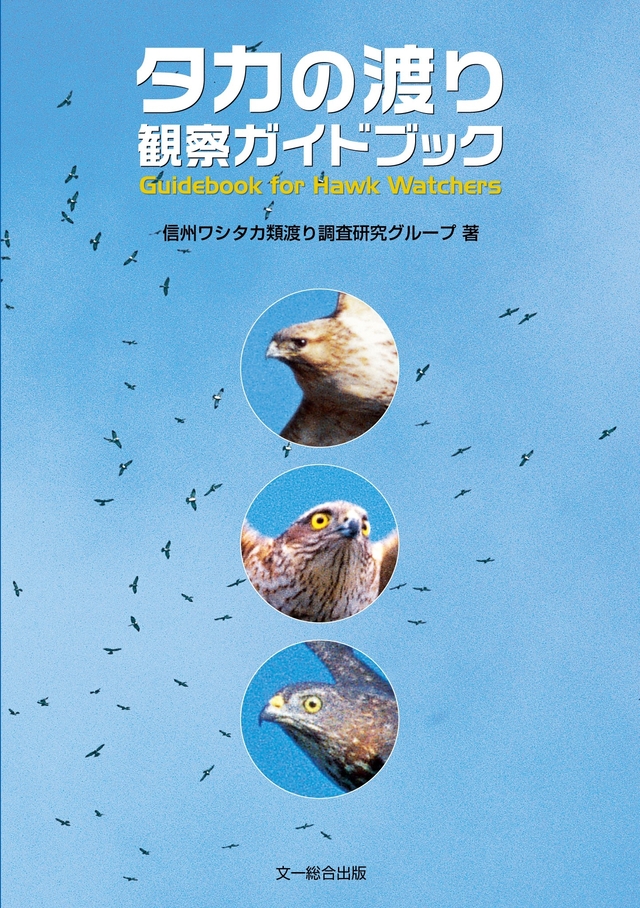 まずワシタカ類の表情を見て、彼らとの距離感をチェックする - 図鑑.jp