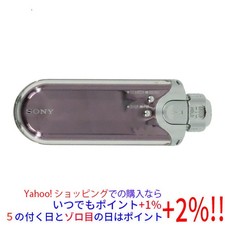 Sony Walkman NW-E507 Silver ( 1 GB ) Digital Media Player for sale