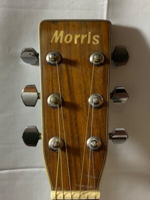 Acoustic Guitar Morris W-40 Model 3P Jacaranda Natural with Hard