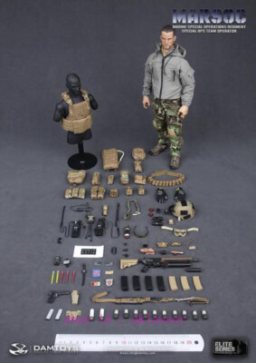 Damtoys Dam78007 1/6 Marsoc Marine Special Operations Regiment
