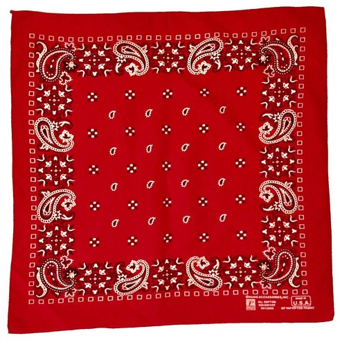 VTG WAMCRAFT Crafted w Pride All Cotton RN13960 Paisley Red