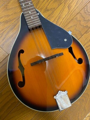 Aria Mandolin Am -20 Japanese Stringed instrument Flat Mandolin