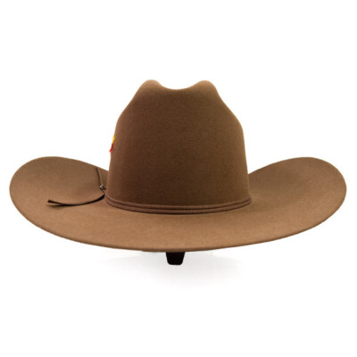 Stetson Cowboy Hat 6X Beaver Fur Acorn Rancher With Free Hat Brush