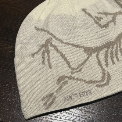 NWT! Arcteryx Bird Head Toque Beanie Arctic Silk/Rune Brand New