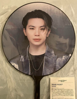 SEVENTEEN WOOZI WORLD TOUR RIGHT HERE IN JAPAN IMAGE PICKET NEW | eBay