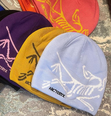 NEW Arc'teryx Bird Head Toque Beanie – Light Blue/White Orca