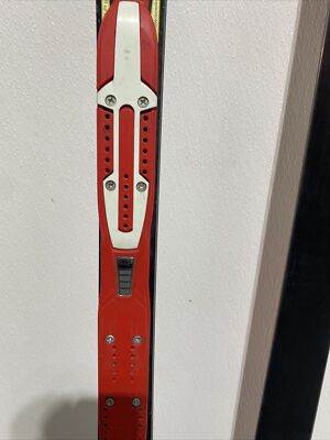 Volkl Racetiger World Cup GS Racing Skis 163cm | eBay