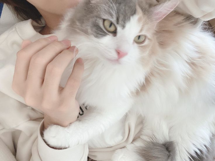 天月-あまつき- on Twitter