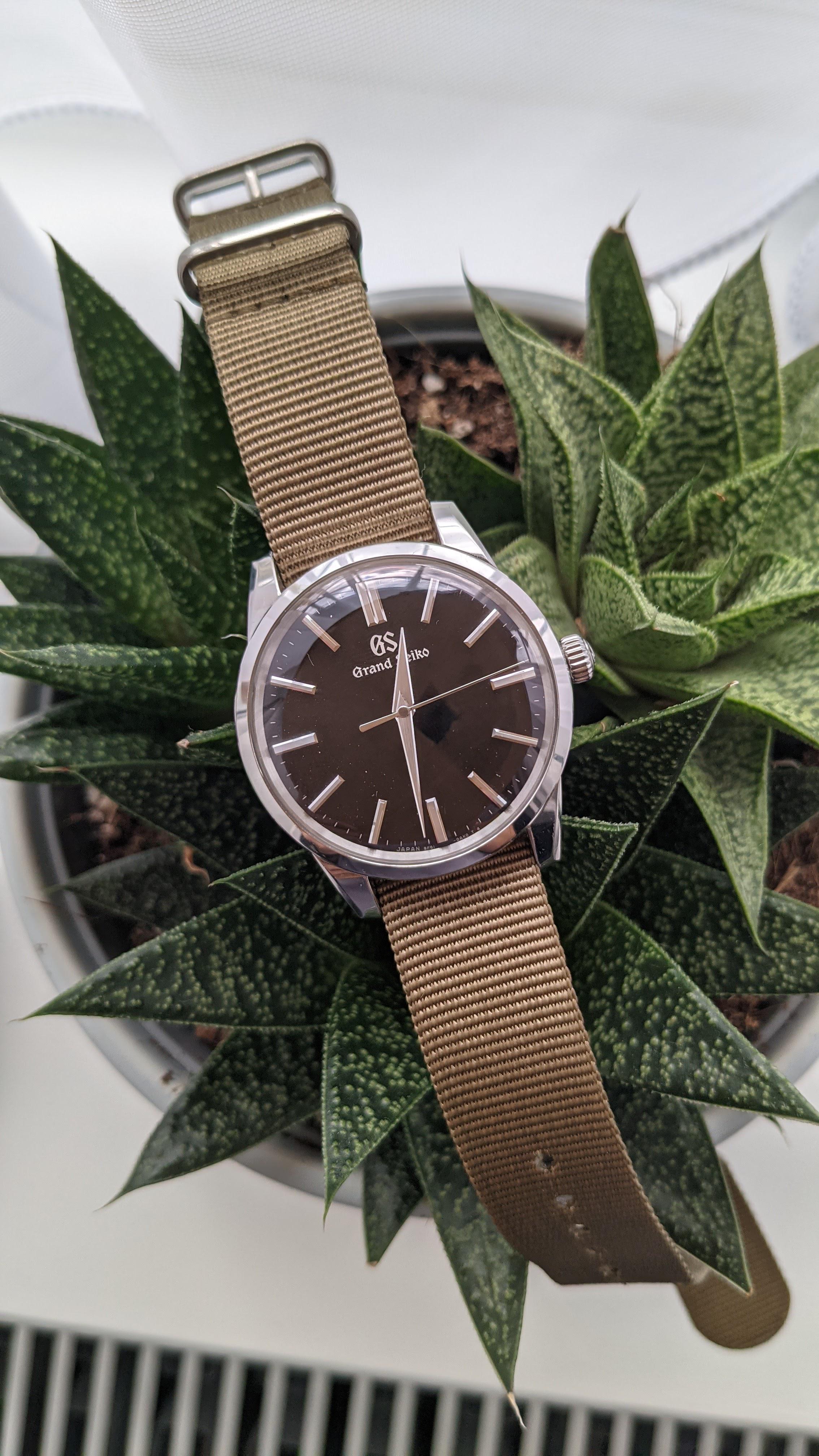 Pretty chuffed to have one of these! A JDM SBGX321 =) : r/GrandSeikos