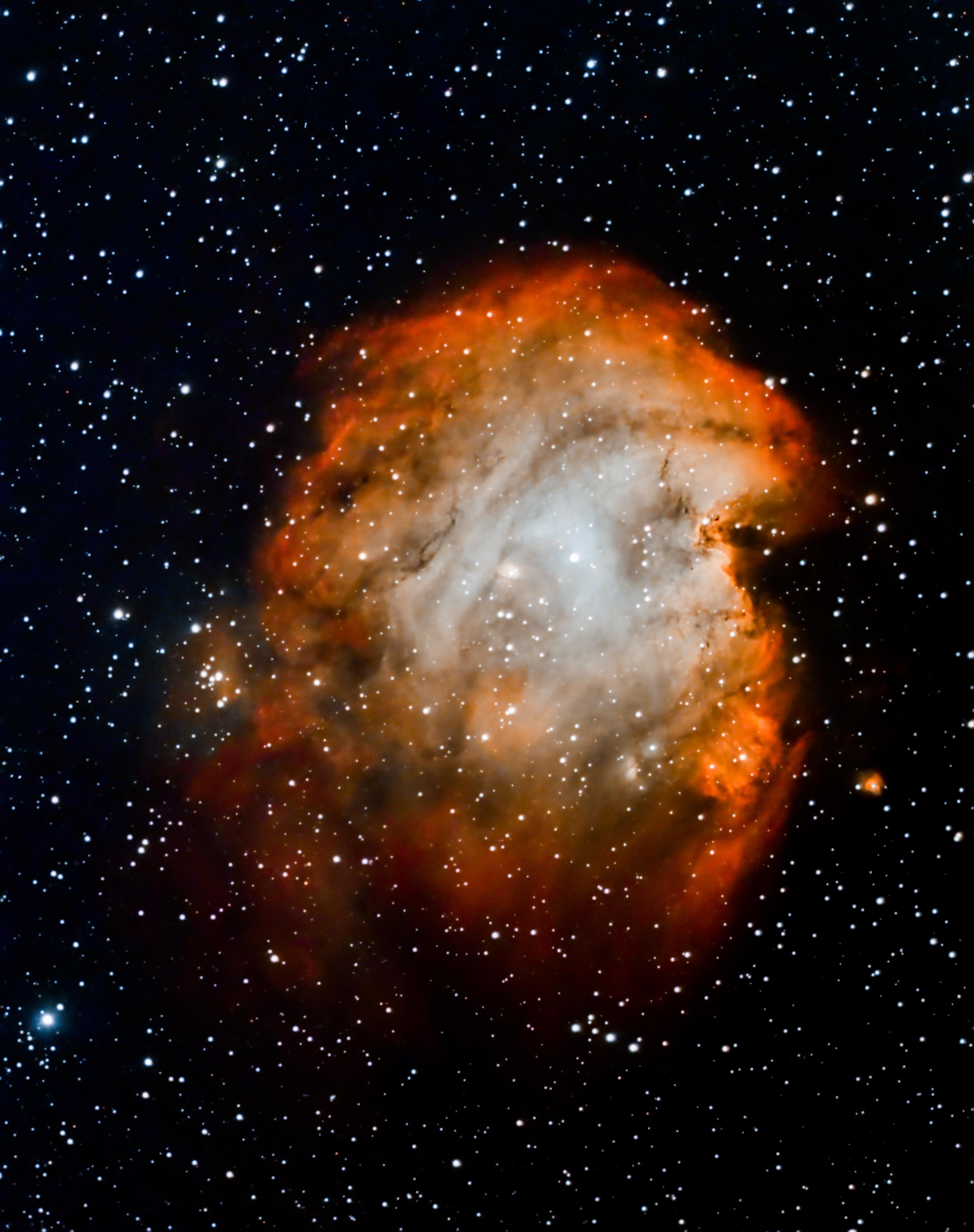 NGC2175 Monkey Head Nebula : r/astrophotography