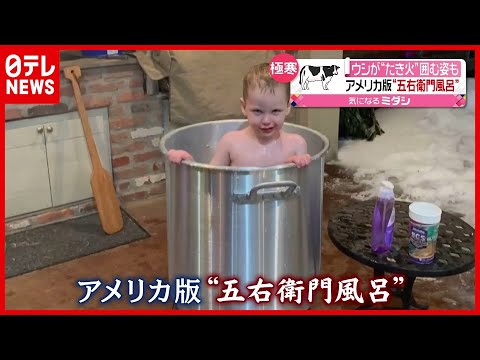 記録的寒波に「五右衛門風呂」…牛も密集して“たき火”囲む アメリカ