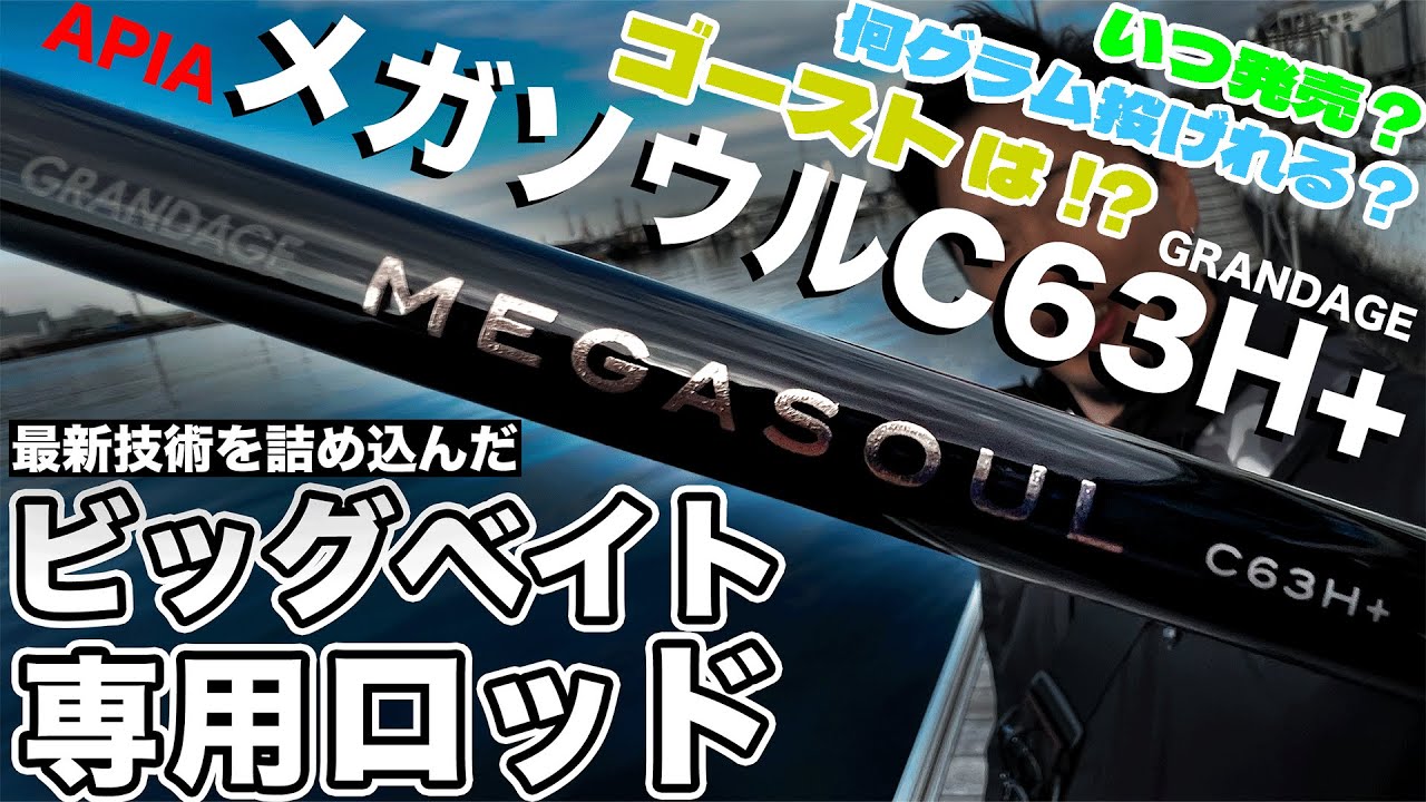 GRANDAGE MEGASOUL C63H＋をご紹介｜ビッグベイト専用に欲しい方に