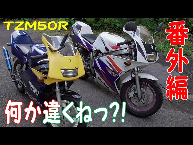 TZM50R 番外編 純正と社外FRPカウルの形状の違い！ 似てるけどなんか