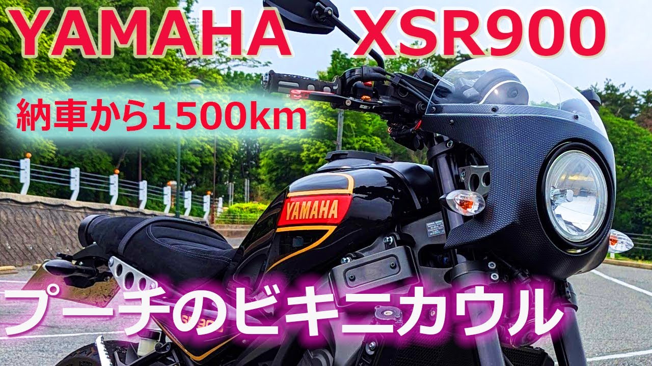 XSR900 前期モデル】納車から2ヶ月。1500キロ走った感想。そしてプーチ